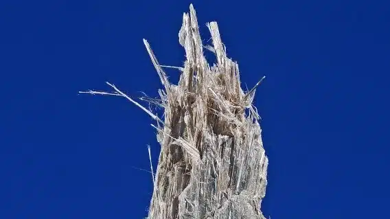 Anthophyllite