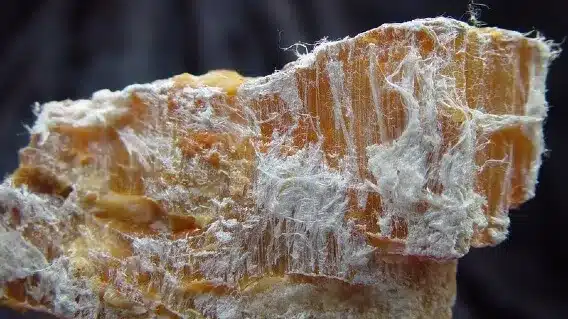 Chrysotile